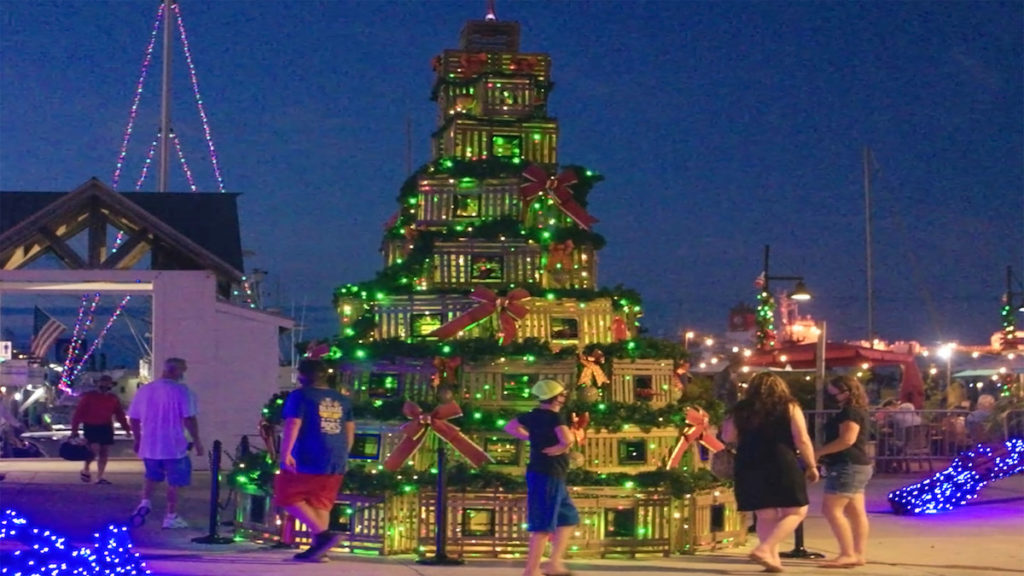 Christmas Tree Made Out of Lobster Traps!, follow amazing non political holiday news from News Without Politics, NWP, Florida