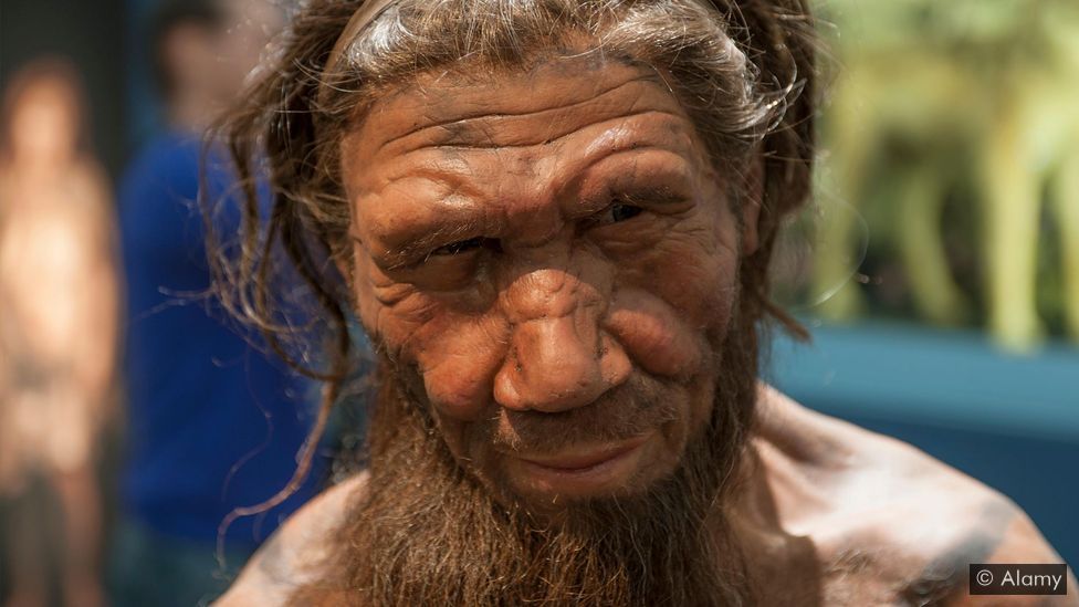 How did the last Neanderthals actually live?, learn more from News Without Politics about man, history, and more, unbiased and non political news source