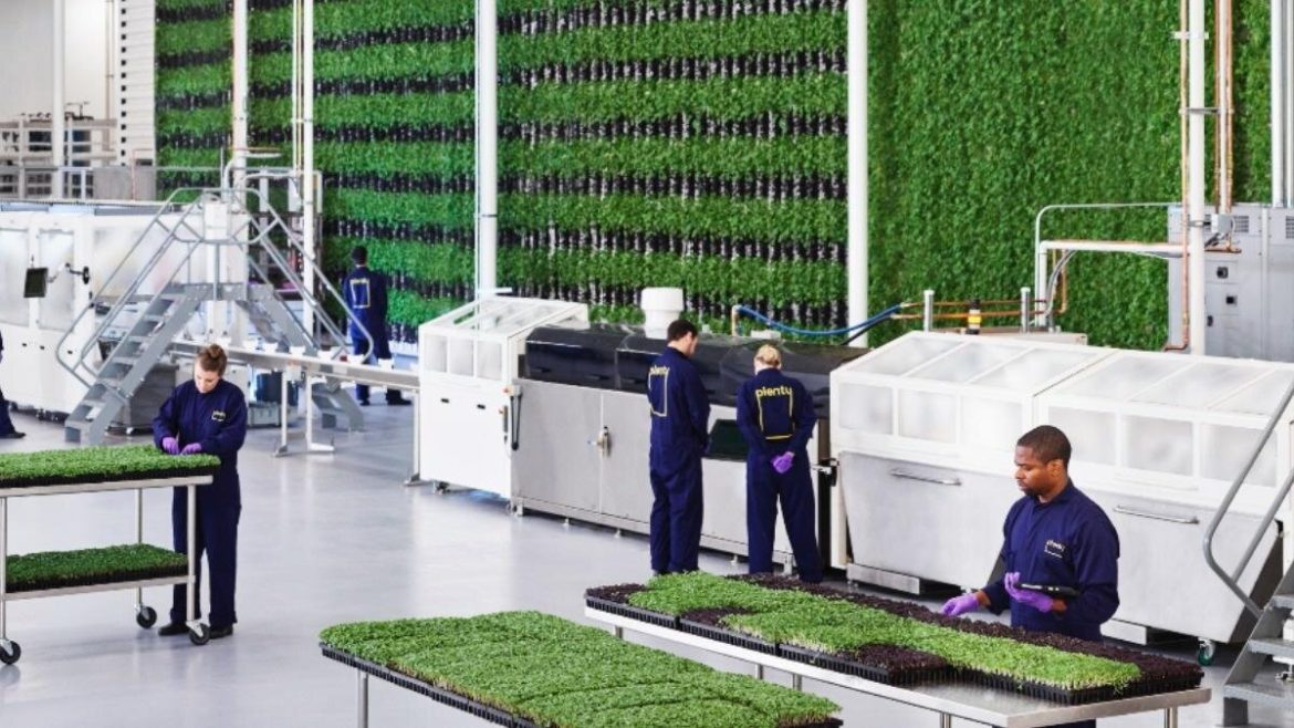Indoor Vertical Farms Future Growth