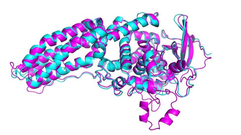 unbiased Media news source One of biology's biggest mysteries about protein has been solved about the shape of proteins using artificial intelligence.News not politics Non political newspaper Non Political news stories News not about politics