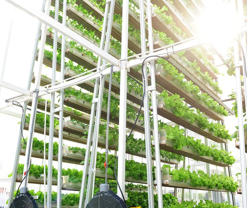 Indoor Vertical Farms, Ag Tech News without politics totally unbiased news News without politics nopo News without politics Nonpartisan Non political Unbiased just news without politics just news no politics no politics just news