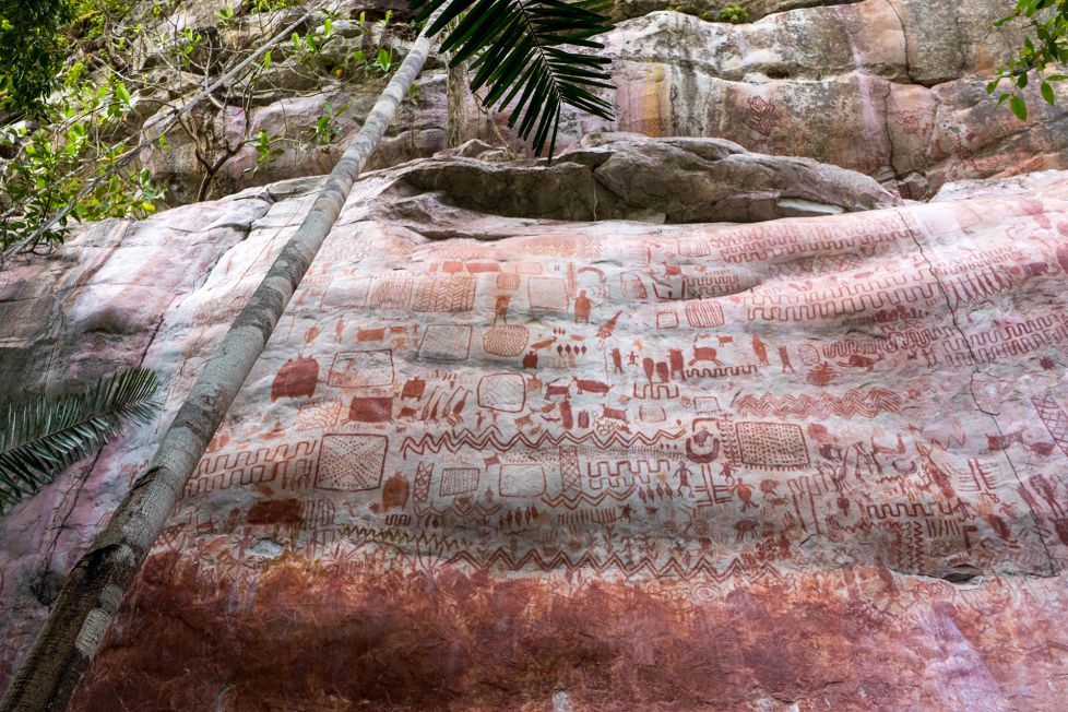 Ice Age art discovered in Amazon rainforest