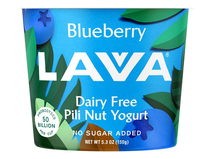 Single lot of blueberry plant-based yogurt recalled