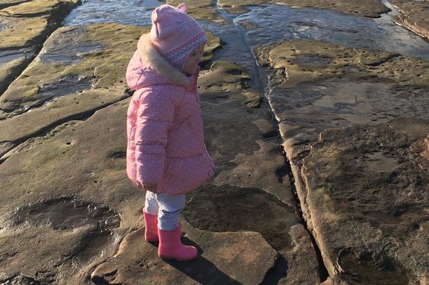 lily wilder dinosaur footprint