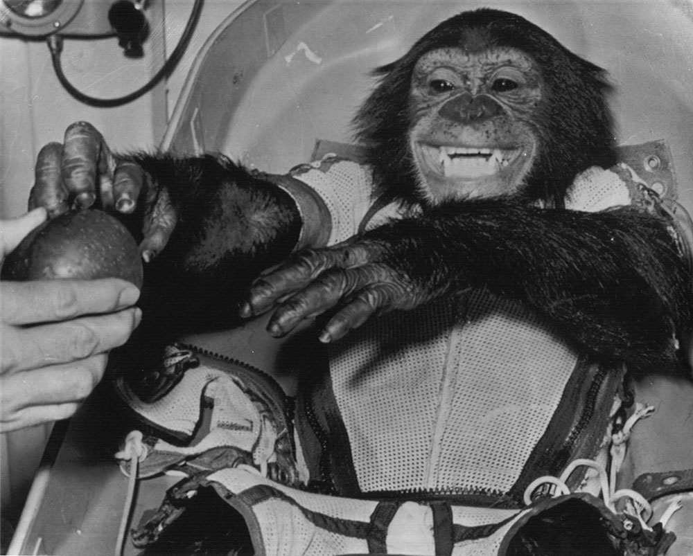 1st chimpanzee blasted off-today's space history, 1961, learn more from News Without Politics, NWP, non political news source, Ham-the chimpanzee, science