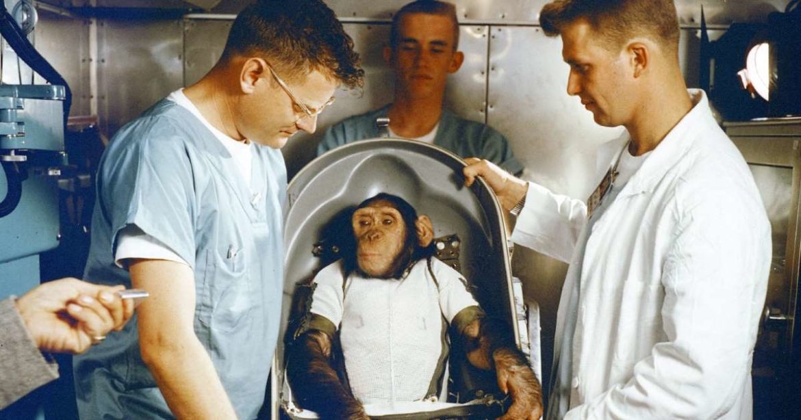 1st chimpanzee blasted off-today’s space history