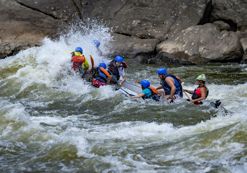 New River National Park Non Political news today Non Political news of the day News other than politics Non political News without politics Totally unbiased news happy news