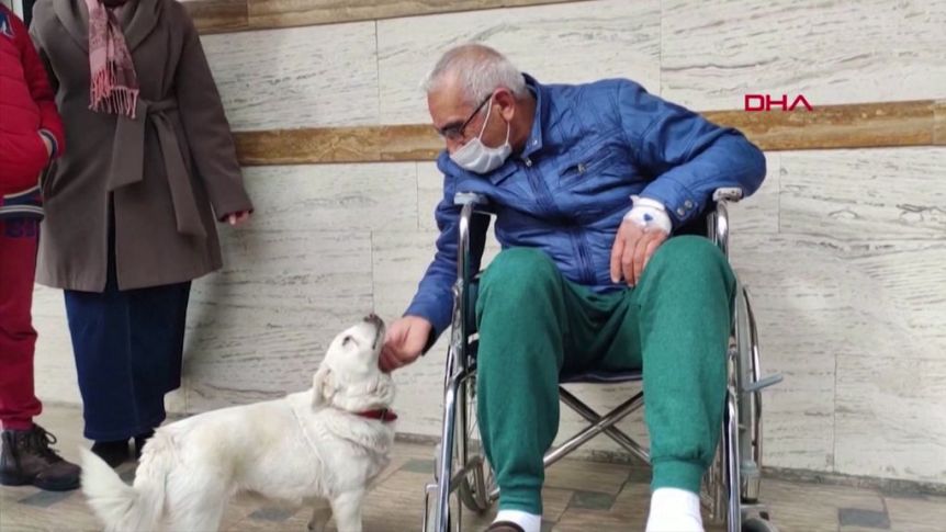 Pooch waits 6 days outside hospital for sick owner, puppy, dog, follow News Without Politics for more news other than politics