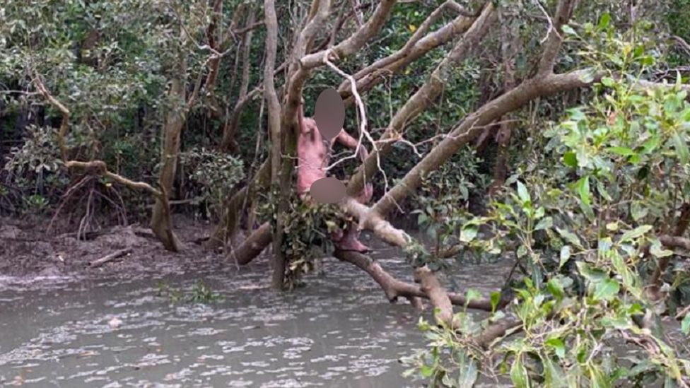 Fishermen rescue naked fugitive from mangroves