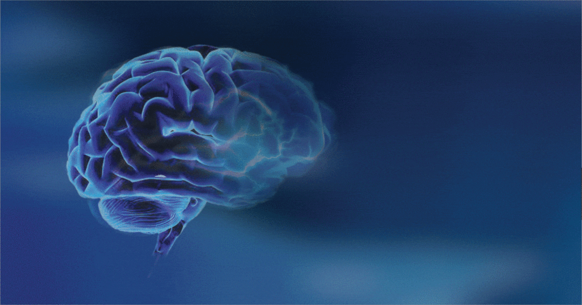 Why sleep evolved before brains did-study
