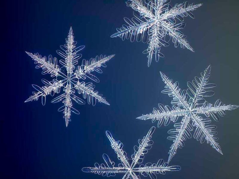 Highest resolution photos ever of snowflakes-Wow!, stay informed from News Without Politics, NWP, follow most news other than politics, photography, technology. cameras