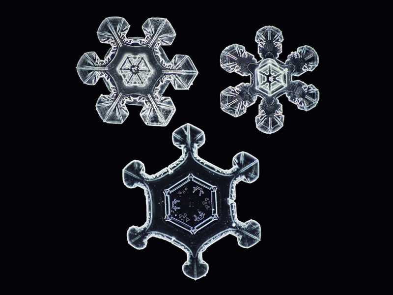 Highest resolution photos ever of snowflakes-Wow!, stay informed from News Without Politics, NWP, follow most news other than politics, photography, technology. cameras
