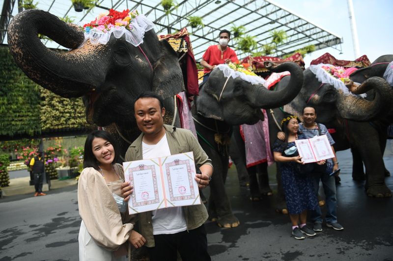 59 couples wed on elephants: Valentines Day