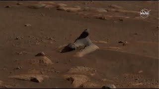 ‘Harbor Seal Rock’ on Mars