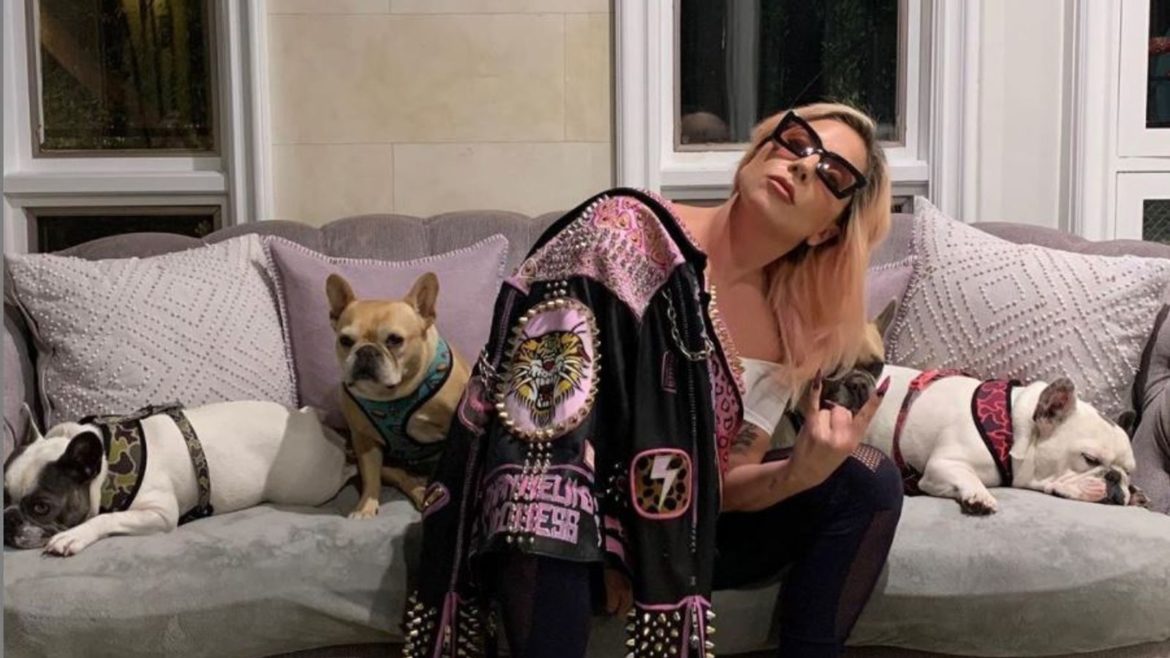 Lady Gaga’s Dog walker shot multiple times