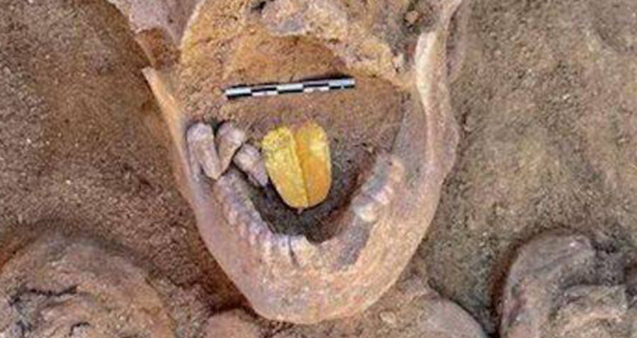 Ancient mummies with golden tongues unearthed
