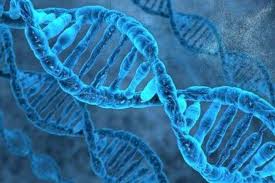 worlds oldest dna non political news