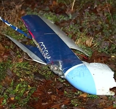 plane crash georga non political news unbiased 