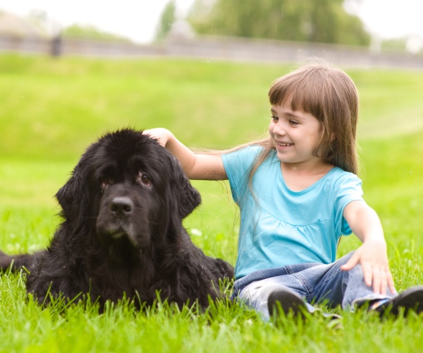 New rabies prevention treatment works in kids, learn more from News Without Politics, NWP, top unbiased news source, health, science, study finds