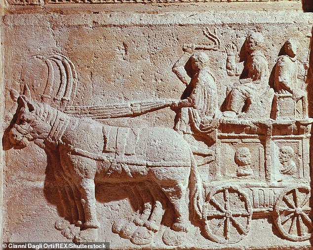 roman chariot discovered unbiased news non political news 