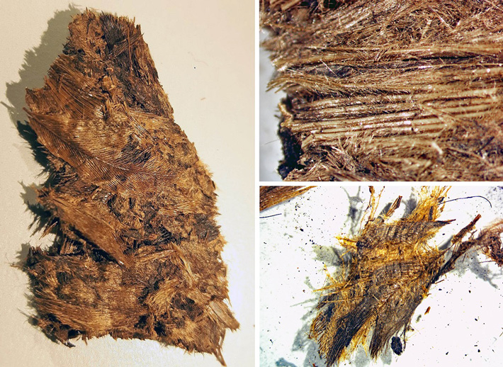 1,300-year-old down bedding-how was it made?