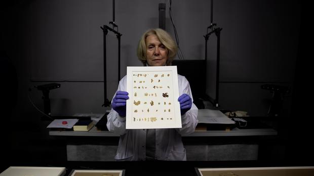 Archaeologists discover new Dead Sea Scrolls, learn more from NWP, follow News Without Politics, Israel, most non political news source