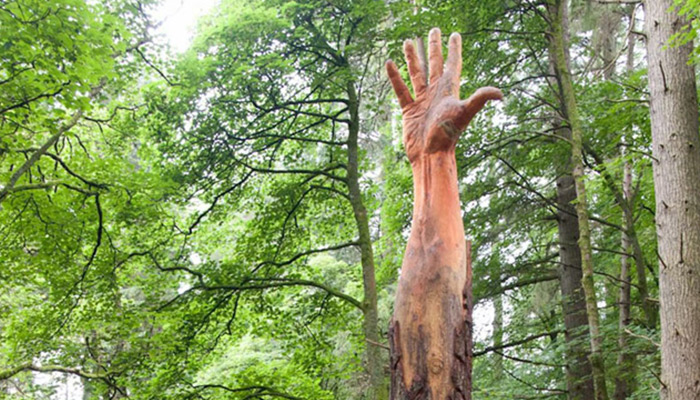 Sculptor Turns Damaged Giant Tree into Hand