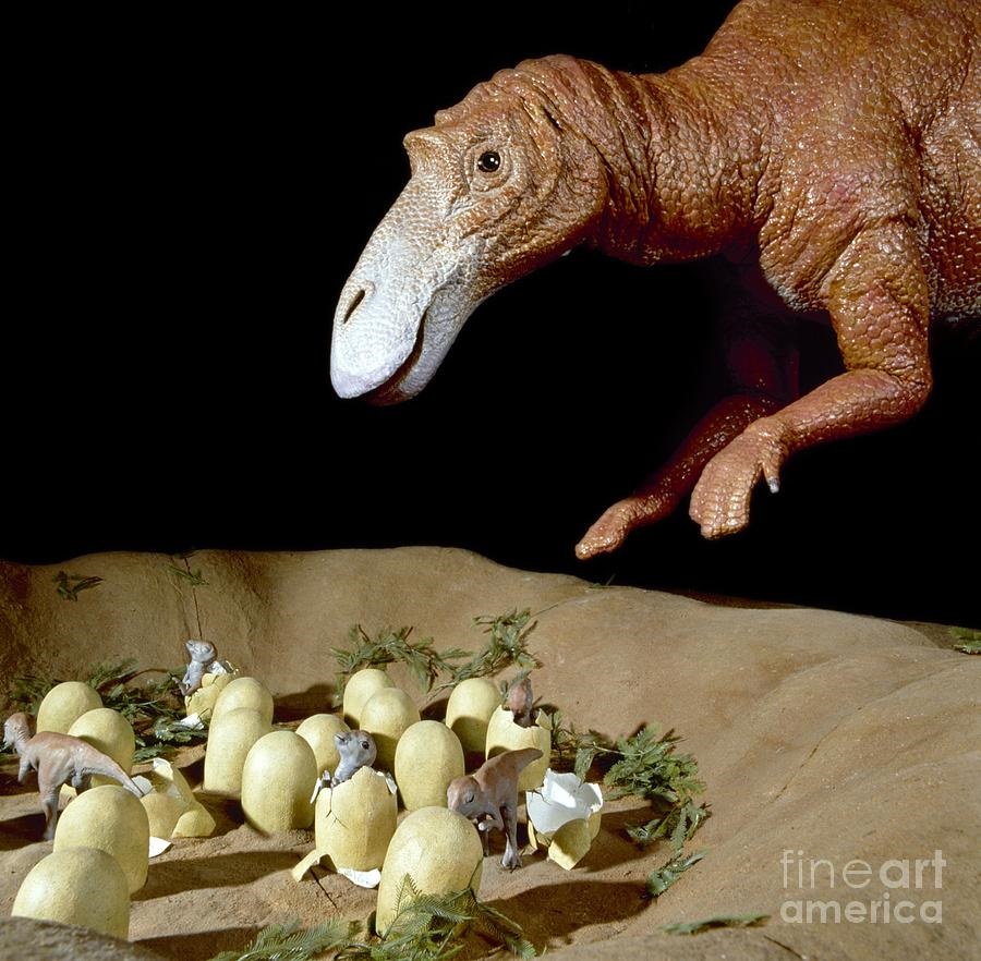 Dinosaur fossil found sitting on a nest