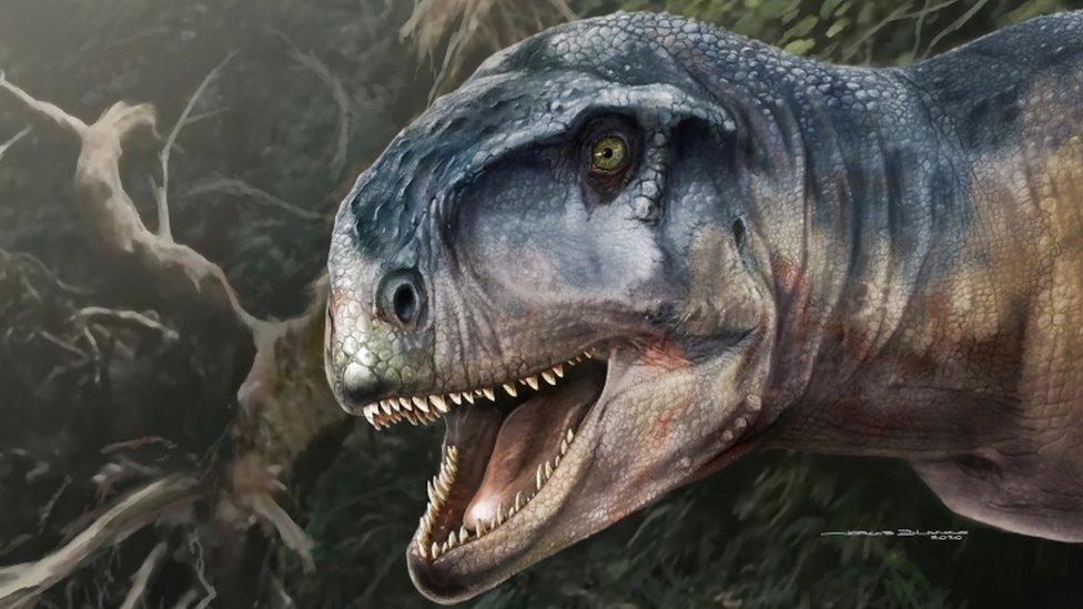 See skull of dinosaur called ‘one who causes fear’