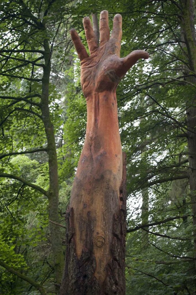 Sculptor Turns Storm-Damaged Tree into Hand non political news