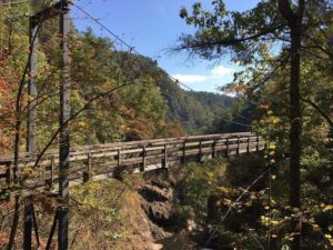 Tallulah Gorge State Parknews other than politics-News without media bias-most unbiased news source-most unbiased news source-News without bias-the most unbiased news source-News Without bias-Non political post-News unbiased-Void of bias-Non political news today-Non Political news today-Non Political news of the day-News other than politics-Non political News without politics-Totally unbiased news-Alternative nonpolitical politics news without politics -News not about politics-Non political post-