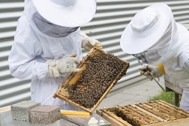 The Latest in Airport Jobs: Beekeeper