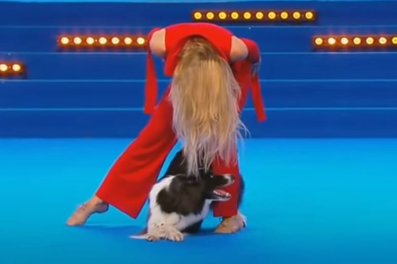 Inside the world of dog dancing: Amazing!
