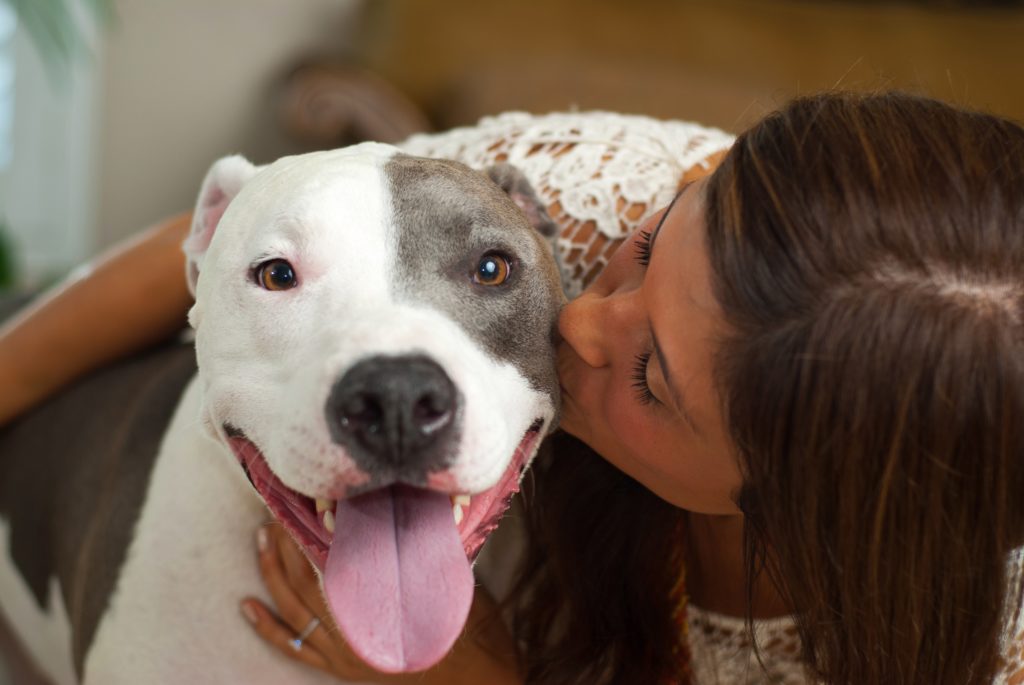 Hero dog saves the day knife-wielding mugger, visit News Without Politics, NWP, pet, dog, best non political unbiased news stories