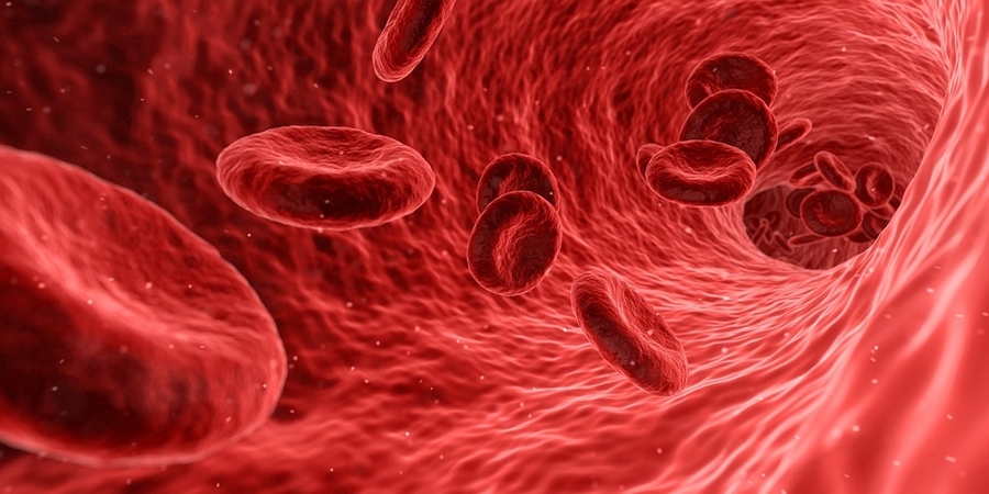 red-blood-cells News other than politics-Nonpolitical-News-news source without politics-News other than mainstream-Alternative news without politics-Least biased news-Neutral news-Totally unbiased news without politics