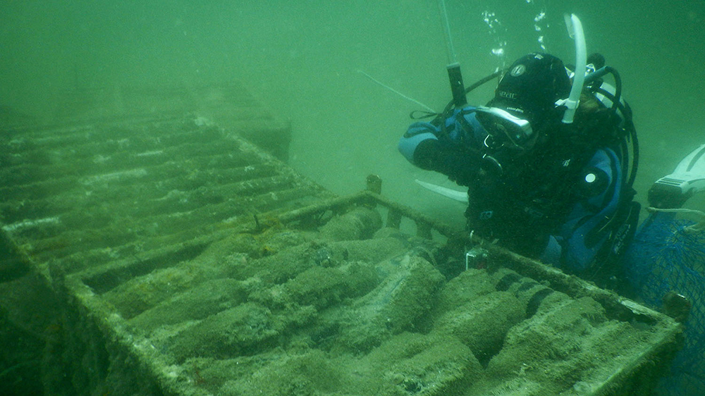 The perfect wine cellar-ocean floor!