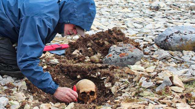 Remains of Arctic Explorer Identified