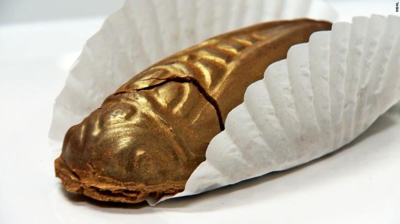 Where can you buy this latest craze: chocolate covered cicadas?, News Without Politics, NWP, candy, best unbiased news source