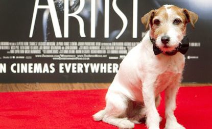 Meet Uggie-the best dog actor