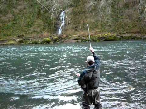 oregon fishing nonpartisan news non political news