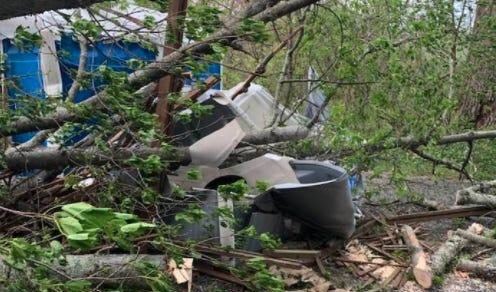 Man hospitalized after falling tree crushes the porta-potty he was using