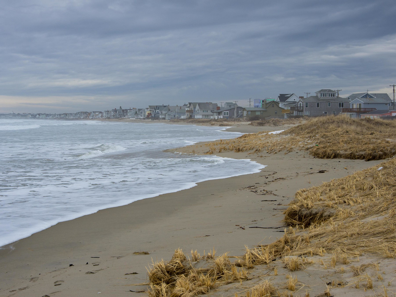 Millions of Microscopic Fly Carcasses Left Dark Stains on People’s Feet at New England Beaches