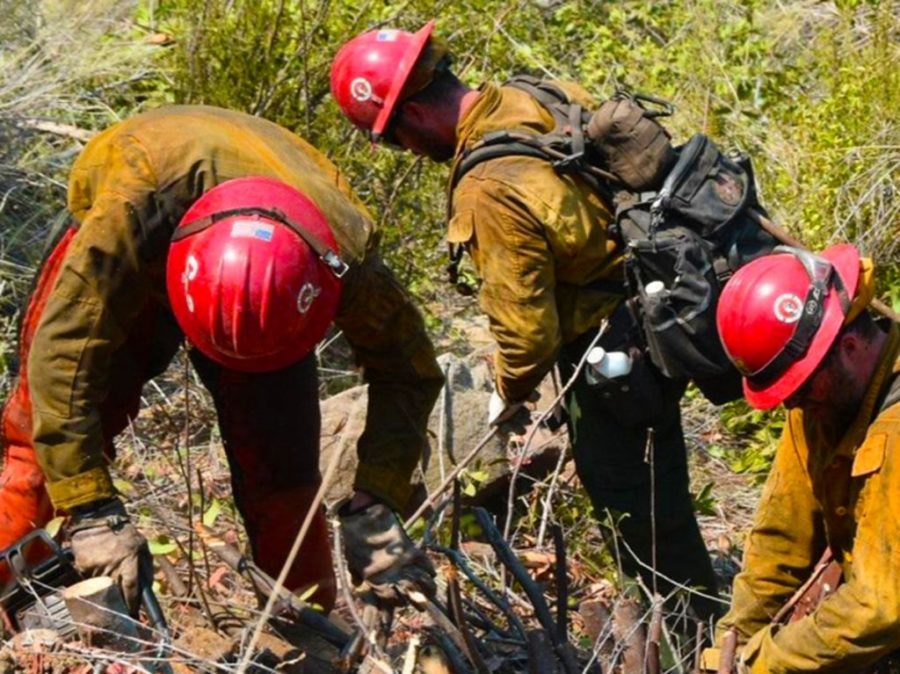 Firefighting Monks Help To Combat Willow Fire In A Remote Area Of Big Sur