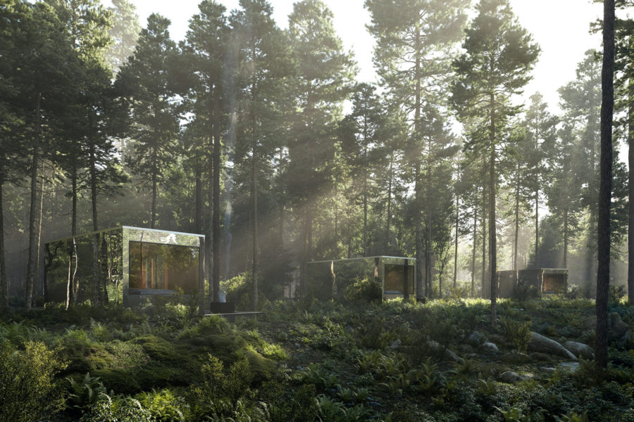 These Secluded- Reflective Cabins in Canada Offer a Unique Way to Immerse Yourself in Nature