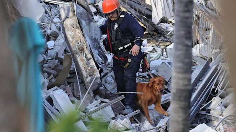 survival under rumble How long can survivors last under rubble? unbiased news