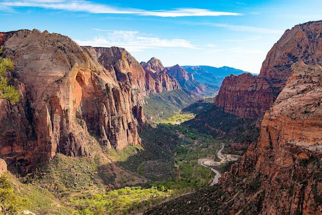 Guide dies after falling 50 feet in canyon at Zion National Park
