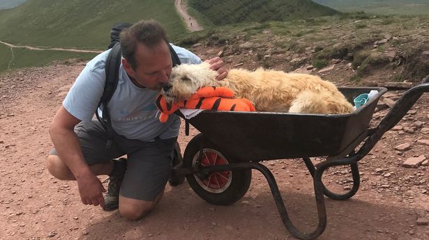 Dog owner pushes dying pet up mountain in wheelbarrow for ‘one last adventure’
