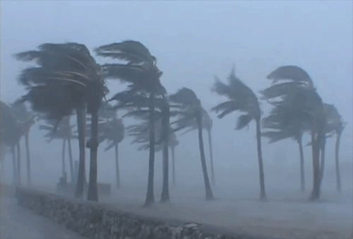 Data suggests Atlantic hurricanes are not increasing
