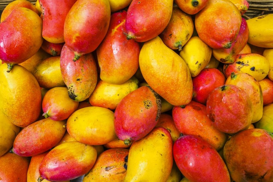 Mangoes: Enjoy The Health Benefits in Peak Season