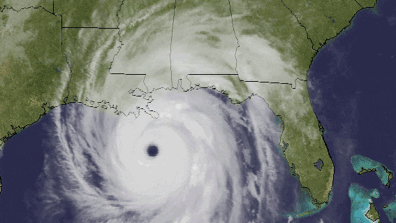 Hurricane Ida ‘Catastrophic damage’: Louisiana